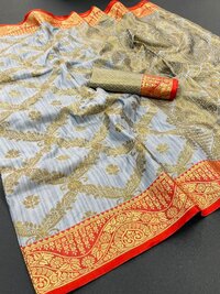 sari rich pallu