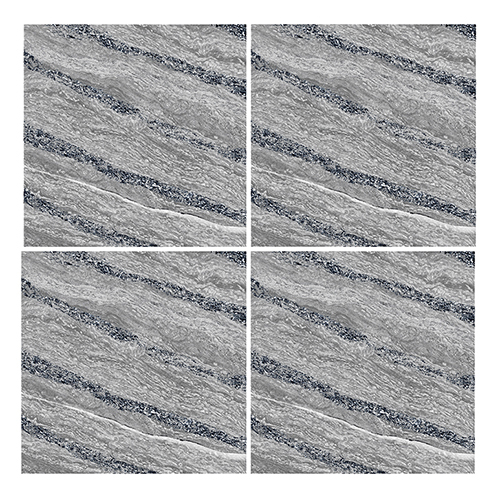 600x600mm Double Charge Series Amazon Dark Grey Vitrified Tiles