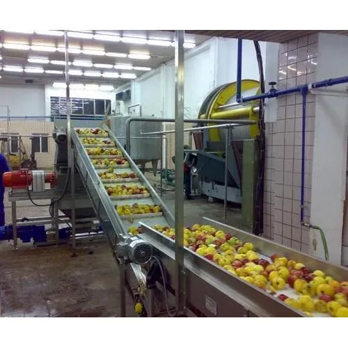 Fruit Juice Plant