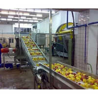 Fruit Juice Plant