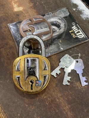 Door Padlocks - Heavy Quality, Available in Five Colors | 3 Keys, High Security Level for Doors and Trucks