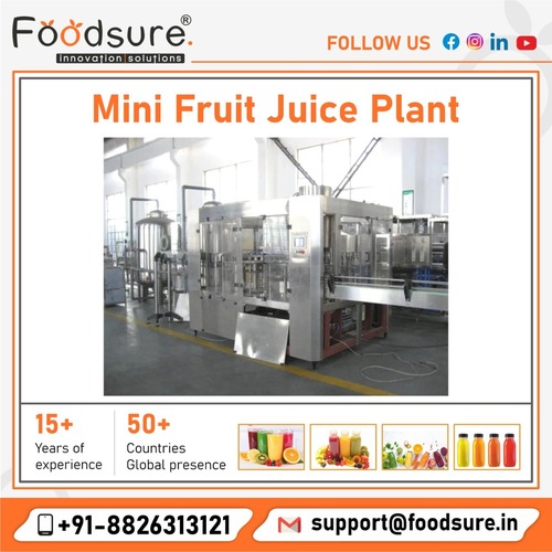 Mini Fruit Juice Processing Plant