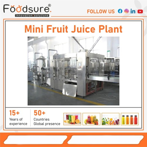 Mini Fruit Juice Processing Plant