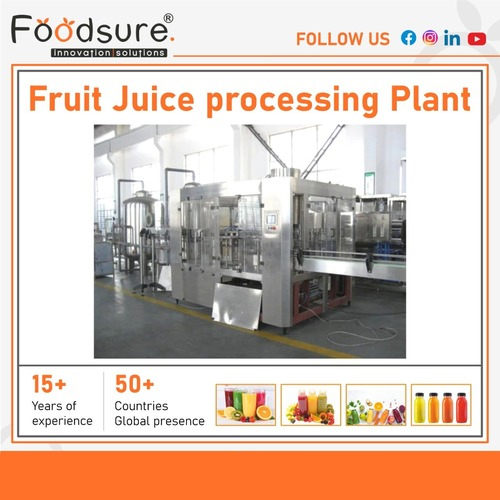 Fruit Juice Processing Plant