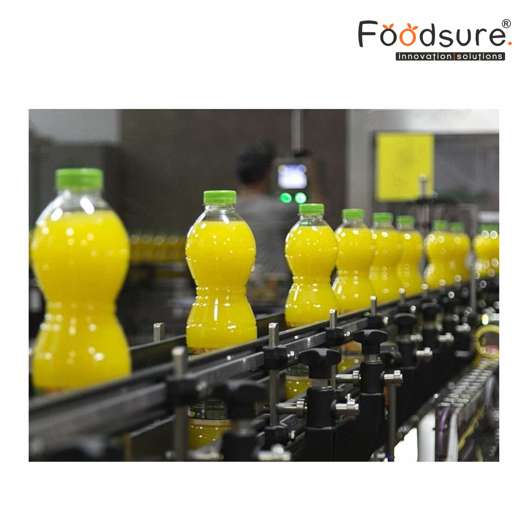 Fruit Juice Processing Plant