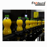 Fruit Juice Processing Plant