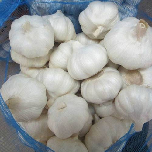 Natural White Garlic