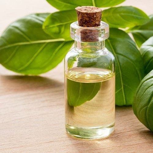 Basil Oil Age Group: Adults