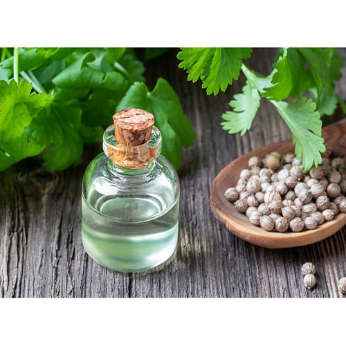 Common Coriander Oil