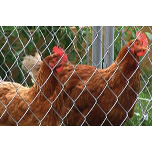 Rodent Proof Poultry Farming Fencing