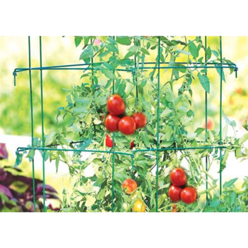 Tomato Farming Fencing