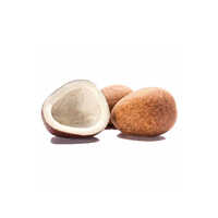 Brown Coconut Dry Copra