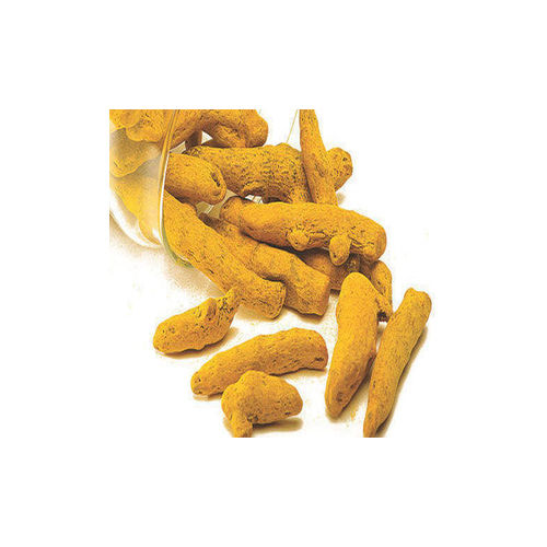 Indian Turmeric Finger