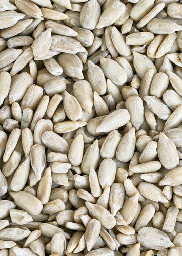 Organic Sunflower Seeds