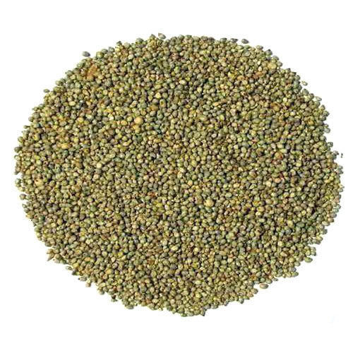 Organic Pearl Millet
