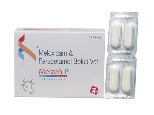 Meloxicam Paracetamol Veterinary Bolus