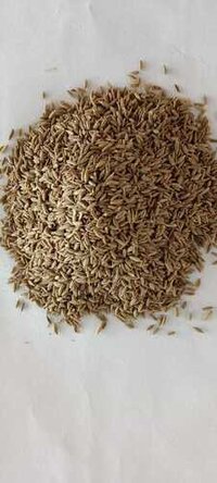 Organic Cumin (jeera) - Color: Black