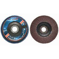 Flap Discs