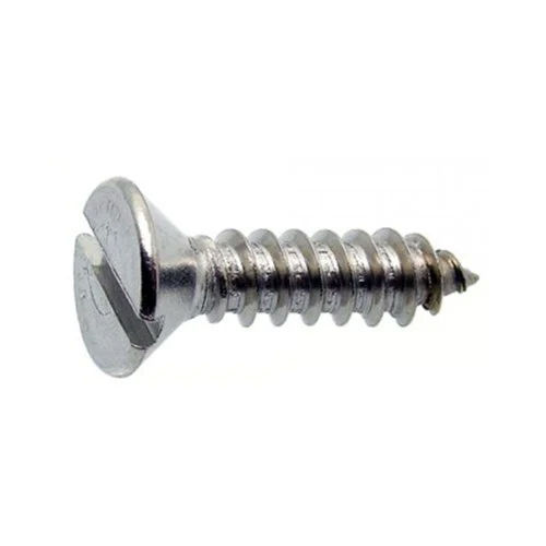 Silver Stainless Steel Csk Slotted Screw