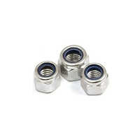 Stainless Steel Nylock Nut - M3 To M30 Standard Din, Silver Color, Round Shape, Smooth Surface Finish, Industrial Use