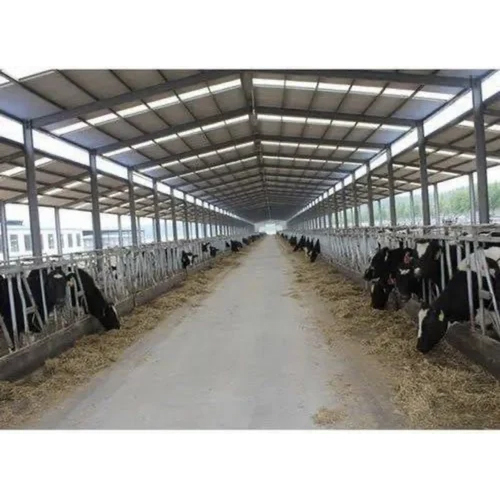 Modular Dairy Farm Shed