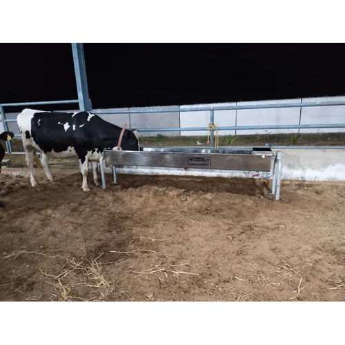 Single Layer Cow Water Trough Table Egg