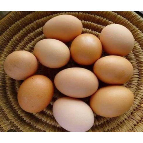 Fresh Brown Eggs