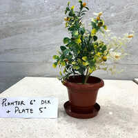 DLX Plastic Planter With Plate