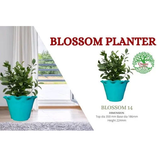 6 Inch Blossom Plastic Planter