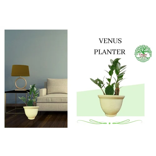 Venus Plastic Planters