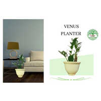 Venus Plastic Planters