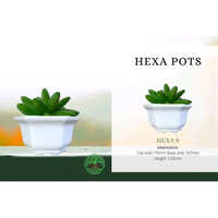 8 Inch Hexa Planter