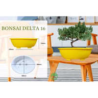 16 Inch Delta Bonsai Planter