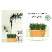 30x14x14cm Jupiter Window Plastic Planter