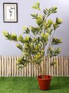 artificial plants