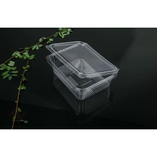Transparent Pet Hinged Rectangular Box
