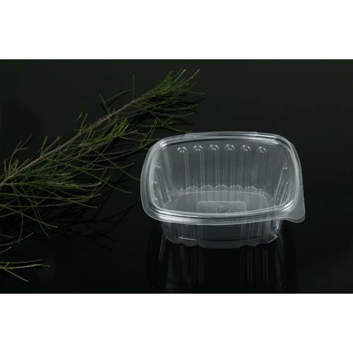 Transparent Pet Hinged Rectangular Box