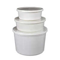 Plastic Ice Cream Container