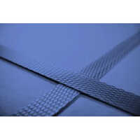 Embossed Pet Straps Size: Customized