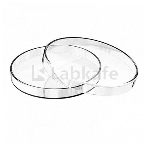 Petri Dish Imported (Anumbra) Crystal Clear Glass 3