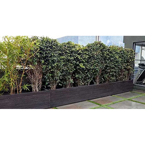 Wooden Exterior Louver