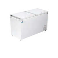 Rockwell Hard Top Deep Freezer SFR450