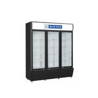 Blue Star Visit Cooler VC 1200 CD