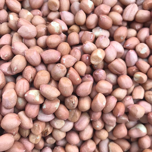 Peeled Groundnut Kernels