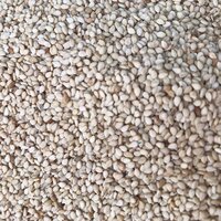 White Sesame Seeds