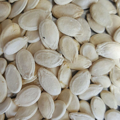 Jumbo Watermelon Seeds