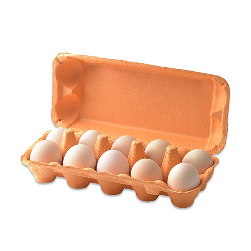 10 Pieces Egg Tray - Customized Size | High Quality for Commercial Use