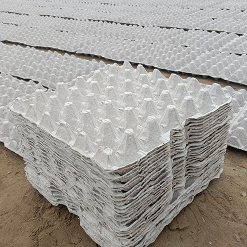 Paper Egg Tray - Customized Size | High Quality for Commercial Use