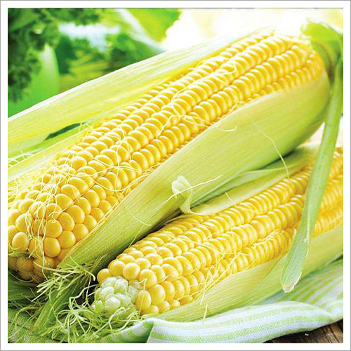 Organic Corn