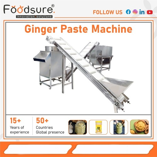 Ginger Garlic Paste  Machine